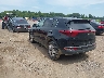 KNDPMCAC6H7****** Salvamento y Reparables 2017 Kia Sportage en Knoxville