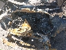 KMHTC6AE9GU****** Reparables 2016 Hyundai Veloster en Phoenix