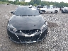 1N4AA6AP7GC****** Wrecked 2016 Nissan Maxima in Maryland State