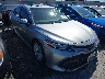 4T1B11HKXKU****** Salvage and Wrecked 2019 Toyota Camry in Ace Carson