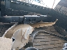 3TMCZ5AN4KM****** Wrecked 2019 Toyota Tacoma in Louisiana State