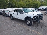 1FTFW1ET3DK****** Salvamento y Destrozados 2013 Ford F-150 en Grand Rapids