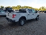 1FTFW1ET3DK****** Salvamento y Destrozados 2013 Ford F-150 en Estado de Michigan
