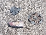 5N1DR2AN5LC****** Wrecked 2020 Nissan Pathfinder in Texas State