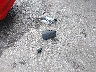3N1AB6AP4CL****** Destrozados 2012 Nissan Sentra en Estado de Nebraska