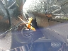 KL8CB6S94DC****** Salvamento 2013 Chevrolet Spark en Estado de Texas