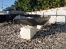 WAC4029***** Used and Repairable 2026 Waco Edge in Lafayette-Malapart Rd.