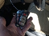 WVWBP7AN4DE****** Salvamento 2013 Volkswagen Passat en Estado de Colorado