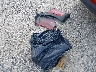 KNDPM3AC6J7****** Wrecked 2018 Kia Sportage in New Jersey State
