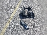 WAU3GAFC6CN****** Wrecked 2012 Audi A7 in Florida State