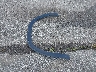 1V2KR2CA0JC****** Wrecked 2018 Volkswagen Atlas in Indiana State