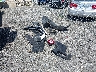 1C4HJXEGXLW****** Repairable 2020 Jeep Wrangler
