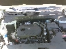 5XYPH4A10GG****** Repairable 2016 Kia Sorento in East Bay