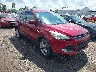 1FMCU0GX1EU****** Salvamento y Destrozados 2014 Ford Escape en Cincinnati