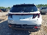 5NMJFCDE7RH****** Destrozados 2024 Hyundai Tucson