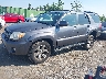 JTEBT17R160****** Used and Repairable 2006 Toyota 4Runner in Long Island