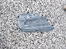 4T1BK1EB4DU****** Destrozados 2013 Toyota Avalon en Estado de Luisiana