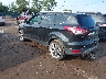 1FMCU9J98EU****** Salvage and Repairable 2014 Ford Escape in South Bend