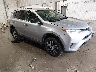2T3BFREV0GW****** Salvamento y Destrozados 2016 Toyota RAV4 en Anchorage