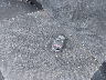 JHLRD78823C****** Salvamento 2003 Honda CR-V en Estado de California