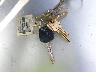 JHHYDM1H9HK****** Repairable 2017 Hino Xjc720/xfc720 in Anaheim Consolidated