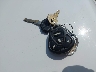 1B7KF2363WJ****** Salvage 1998 Dodge Ram 2500 in Montana State