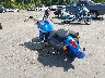 JH2RC5003NK****** Salvage and Repairable 2022 Honda VT750 (Shadow Aero 750) in Rec Rides Online Exclusive