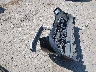 3C4NJCBB9KT****** Wrecked 2019 Jeep Compass in Washington State