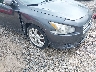 1N4AA5AP5DC****** Salvage and Repairable 2013 Nissan Maxima in Ohio State