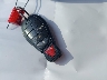 1C3CDFBA8DD****** Salvamento 2013 Dodge Dart en Estado de Arkansas