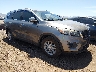 5XYPG4A32GG****** Salvage and Wrecked 2016 Kia Sorento in Phoenix