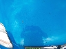 1FADP3F23EL****** Destrozados 2014 Ford Focus