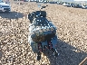 1HD1KH710SB****** Salvage and Repairable 2025 Harley-Davidson FLTRX in Arizona State