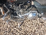 1HD1KH710SB****** Used 2025 Harley-Davidson FLTRX in Rec Rides Online Exclusive