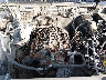 1FTYR10UX3P****** Salvamento y Reparables 2003 Ford Ranger en Estado de Ohio