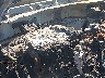 KNDPN3AC0H7****** Repairable 2017 Kia Sportage in California State