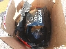 ZDMDAGWW1RB****** Wrecked 2024 Ducati Panigale in California State