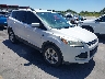 1FMCU0GX2EU****** Salvamento y Destrozados 2014 Ford Escape en Austin North
