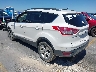 1FMCU0GX2EU****** Salvamento y Reparables 2014 Ford Escape en Austin North