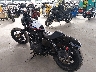 1HD1LP314LB****** Salvamento y Reparables 2020 Harley-Davidson Xl1200 en Seattle