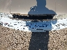 1G1BL52P8TR****** Salvage and Repairable 1996 Chevrolet Caprice in Texas State