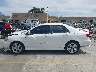 1NXBR32E03Z****** Salvage 2003 Toyota Corolla