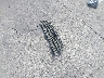 1NXBR32E03Z****** Wrecked 2003 Toyota Corolla in California State