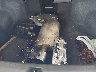1HGCP36828A****** Wrecked 2008 Honda Accord in Florida State