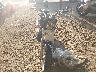 JH2RC43092M****** Used and Repairable 2002 Honda Vf750 in Ohio State