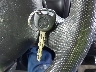 5GTEN13E788****** Salvage 2008 Hummer H3 Suv in Nebraska State