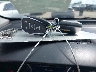 3GNAXKEV4ML****** Salvamento 2021 Chevrolet Equinox en Estado de Ohio