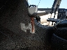 JH4CL96817C****** Salvage 2007 Acura TSX in Mississippi State