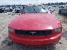 1ZVHT84NX85****** Salvamento y Reparables 2008 Ford Mustang en Estado de Luisiana