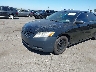 4T4BE46K49R****** Salvage and Repairable 2009 Toyota Camry in California State